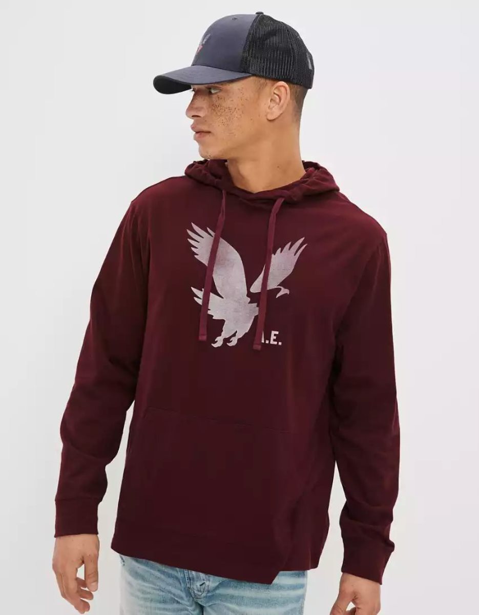 Sweat à Capuche American Eagle AE Super Soft Logo Graphique Bordeaux Homme | DPR-81900320